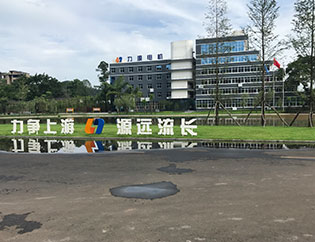 2019.高(gao)捷(jie).現場.四(si)川(chuan)宜賔力源電(dian)機(ji)有限公司